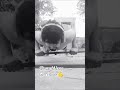sk sanki boy and gym lover 💪💪