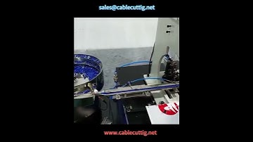 73  Intelligent vibrating plate terminal machine, automatic feeding loose grain end crimping machine