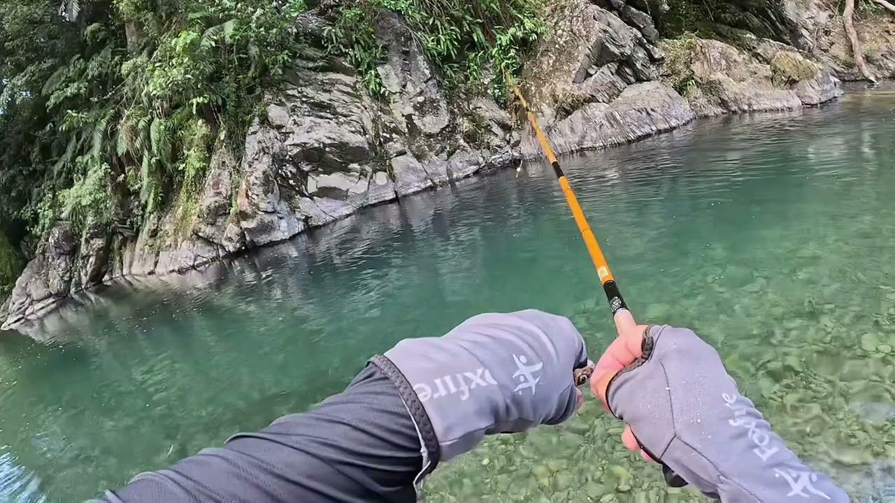 2025 10 6 快樂釣魚🎣趣  一個深潭就有釣不完的魚🐟（桶後溪）