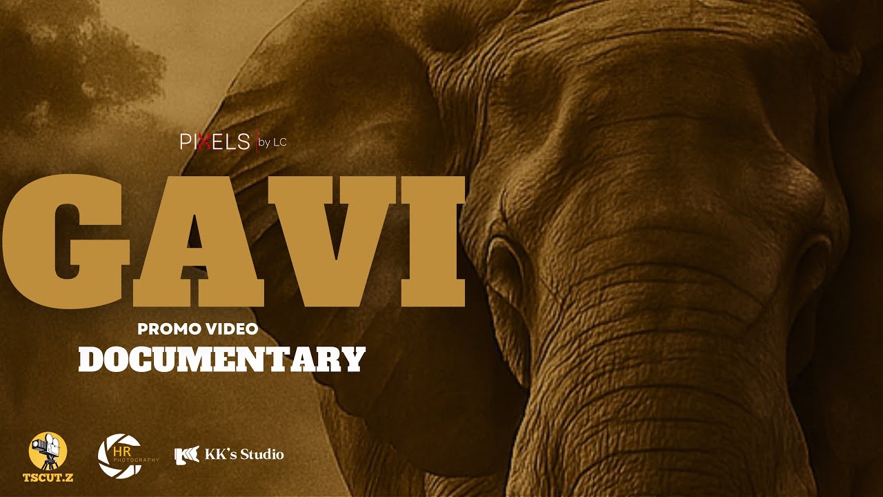 Gavi the documentary