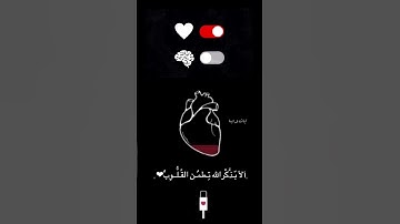 تلاوة هادئة ♥️/ راحه نفسية / ستوريات دينية / قرآن /حالات واتس اب قرآن/ ستوريات قرآن/ستوريات انستقرام