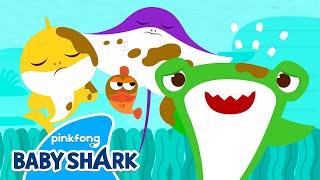 I'm Sorry, My Friend! | Baby Shark's Day at School | Back to School | Baby Shark Official