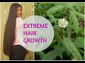 Hair mask for extreme hair growth  indian ayurvedic secretsushmitas diaries