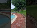 Diani adventuring and enjoying the nature near kongo river