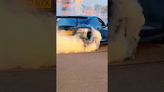 Tesla Plaid WHO⁉️A Tesla track car masterpiece  #automobile #cartok #cinematic #donut #donught
