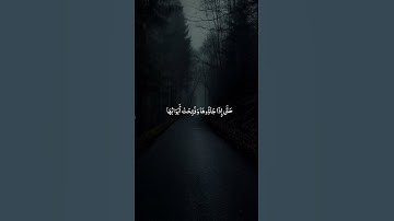 سورة الزمر 🎧آية (73)قرآن❤️أرح قلبك 🫀