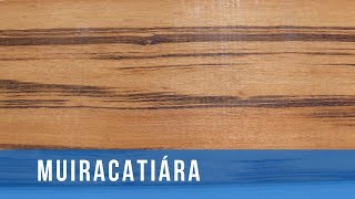Muiracatiara - Madeira resistente a cupins - Tipos de madeiras