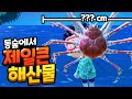 동숲에서 제일큰 해산물?!ㅣ동물의숲 62화