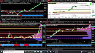 Getting started with volume price analysis