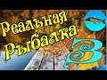 Реальная рыбалка игра на Android #3 ОГРОМНАЯ КУЧА ДЕНЕГ В САМОМ НАЧАЛЕ