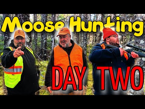 اليوم الثاني من رحلة صيد الموظ في نيوفاوندلاند يستمر البحث