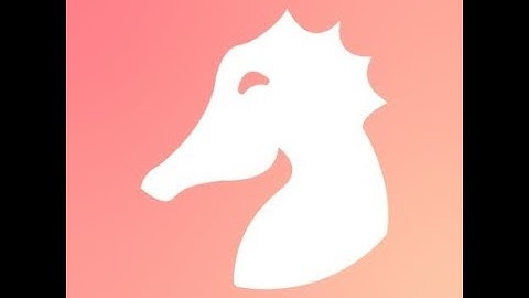 Spotlight: Seahorse at mtnDAO!