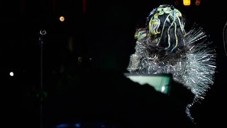 björk : orkestral - coachella 21 year return , dark & divine & the littleness of her movements 🎻🥤🦚🦠