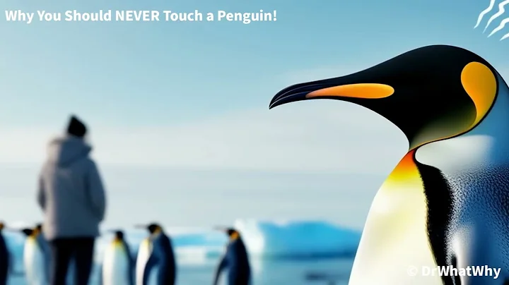 Why You Should NEVER Touch a Penguin!