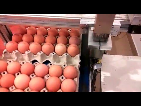 BestCode Egg Marking