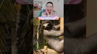 Jugando a planet zoo  🐘 #gameplay #planetzoo #dlc #zoologico #cozy