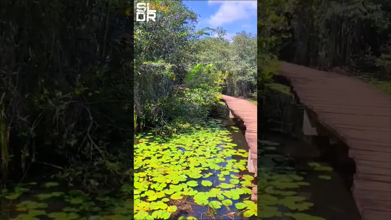 සුන්දර බැද්දගාන උද්‍යානය .😍🌿 Beddagana wetland park kotte/colombo.Travel with SLDR. 