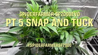 Spider Farmer SF2000 + 4x2x6 Grow Tent + 6” Clip Fan PT 5 Snap and Tuck