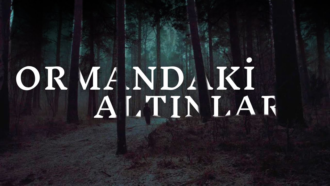 Kastamonu'da Define Bulduktan Sonra Cinlerden Büyücü Babaannem Kurtardı |- Cin Hikayeleri - Korku