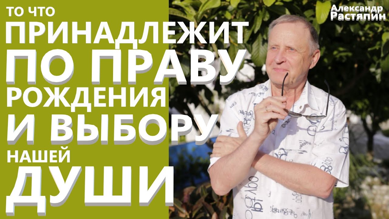 Что принадлежит чери
