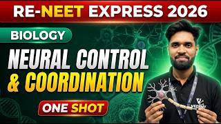 RE-NEET Express 2026 | Neural Control and Coordination One Shot | Biology | Yogesh Sir |