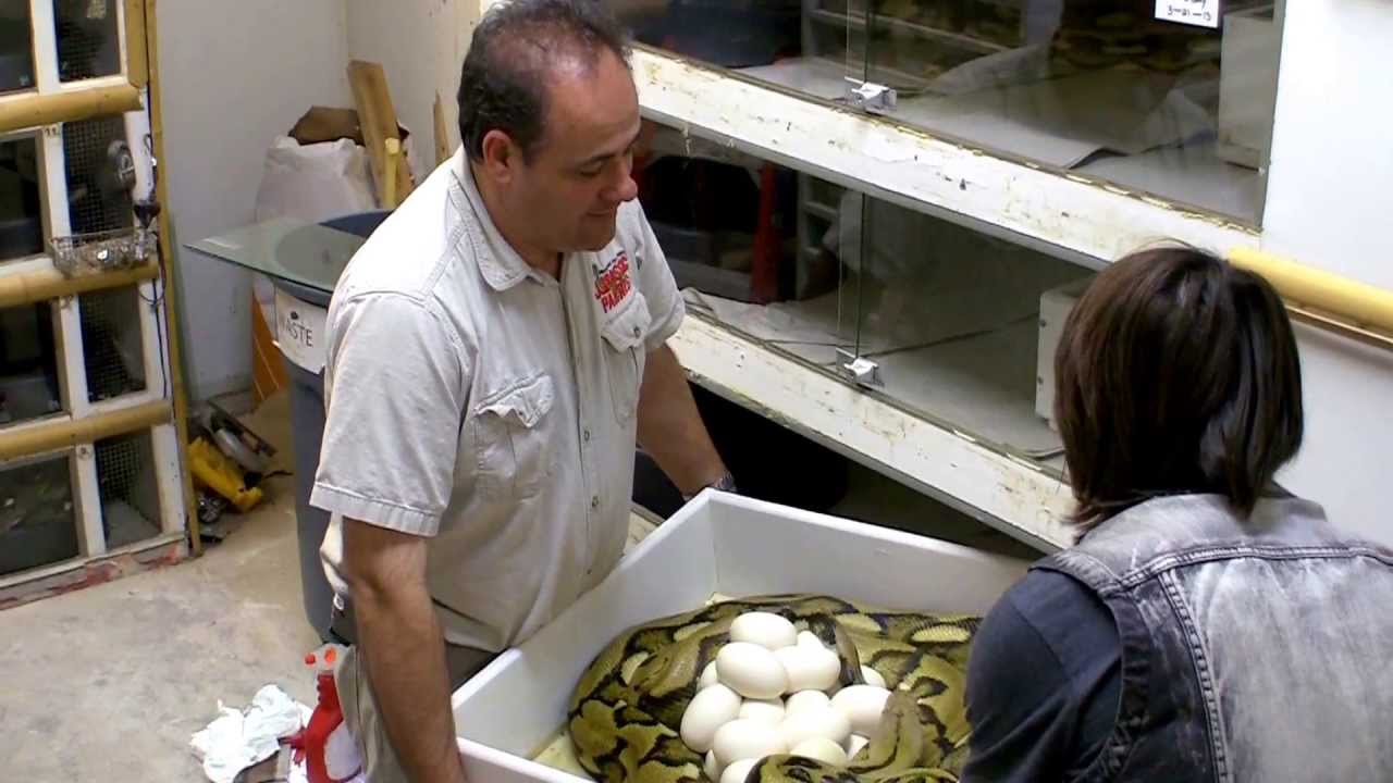 guest speaker speech Why can't they all be that easy?