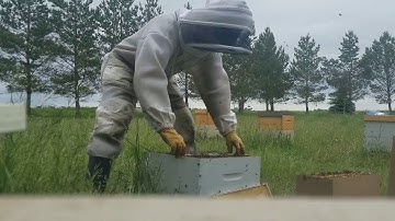 Building a 4 Frame Nuc