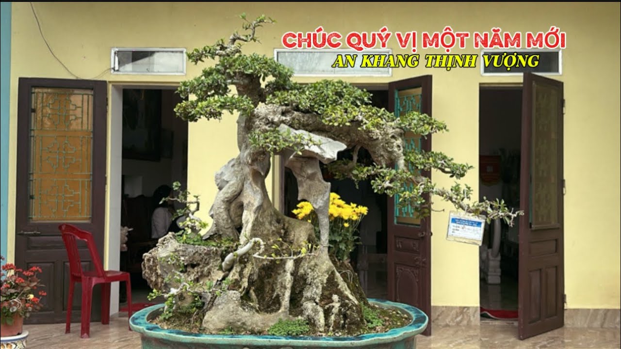 CHÚC QUÝ VỊ MỘT NĂM MỚI AN KHANG THỊNH VƯỢNG | Quảng Tùng