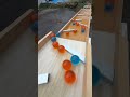 マーブルラン108 marble run　龍玉　青玉　オレンジ玉編