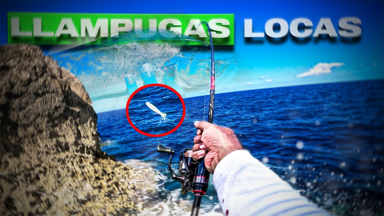 Día SOÑADO para cualquier PESCADOR de Spinning [Llampugas y Serviolas] | Lured Vlog 372