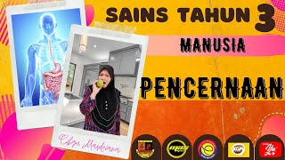 SAINS TAHUN 3 I PENCERNAAN