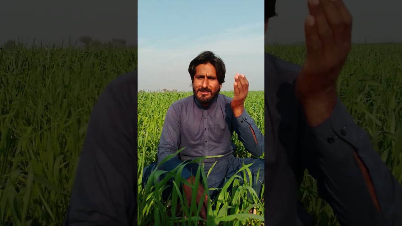 SONIA KE SE J DERD BN KY NEW NAAT M IMRAN TAABISH03037073733