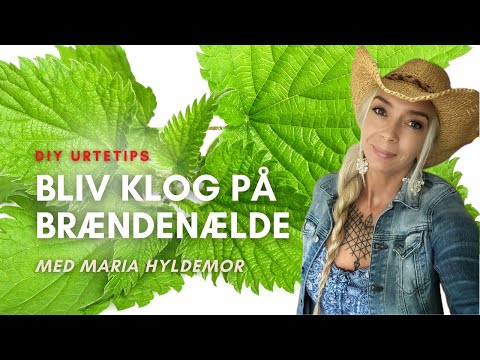 Video: Haveopskrifter Med Brændenælder