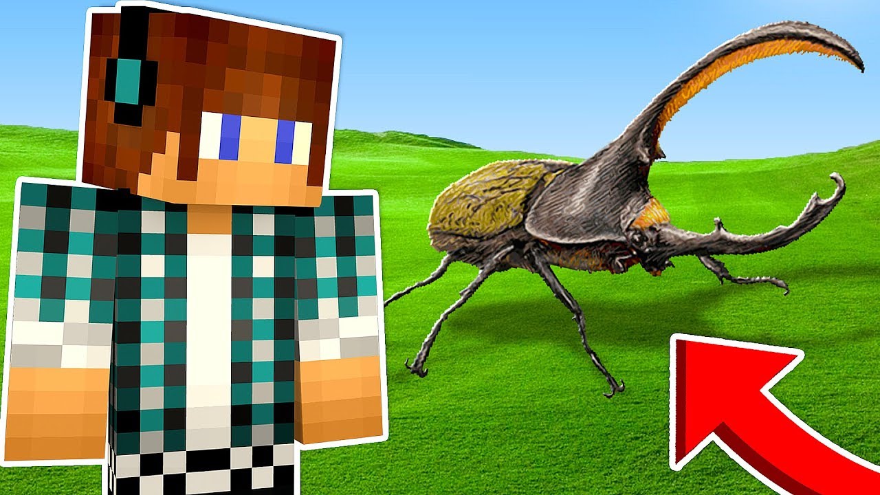 ENCONTREI UM INSETO GIGANTE NO MEU MINECRAFT !! - Minecraft Survival #51 minecraft videos dantdm
