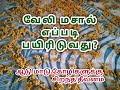 வேலி மசால் - கோழி மற்றும் அனைத்து கால்நடைகளுக்கும் சிறந்த தீவனம்.