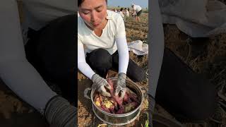 Agriculture Village Fresh Fruit #Viral #Fruit #Shorts #1108