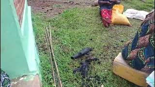 VID 20260401 WA0002