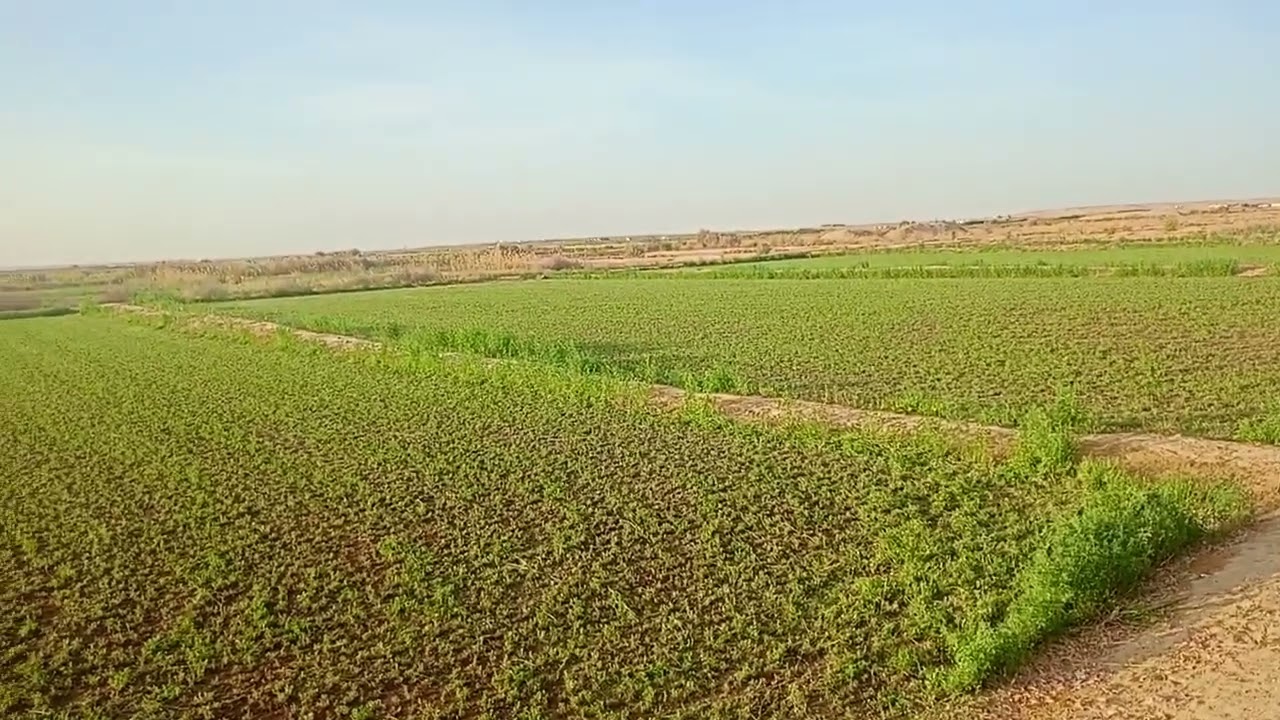 الوادي الجديد الفرافرة قيمة الوقت وإجراءات التقنين ٠١١٢٢٤٧٤١٨٩