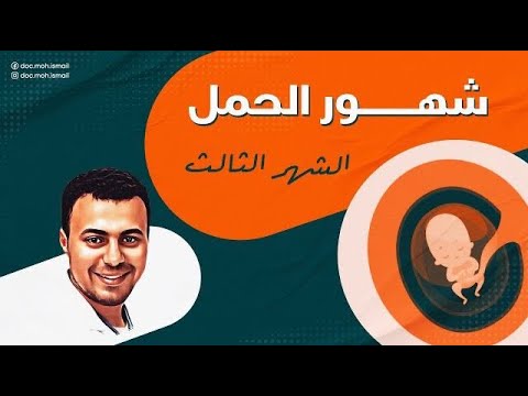الشهر الثالث من الحمل دكتور محمد اسماعيل