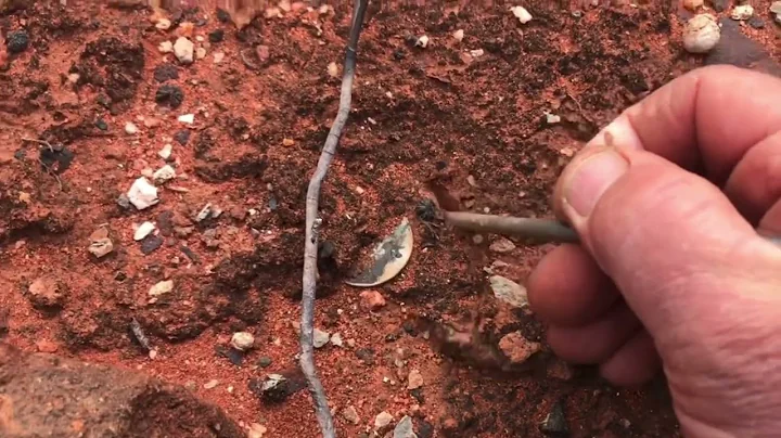 Fossicking around an historical gold town, Goldfield’s, Part 2…Western Australia