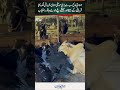 Crowds Rush To Islamabad’s Biggest Cattle Market For Cheap And Expensive Eid Animals