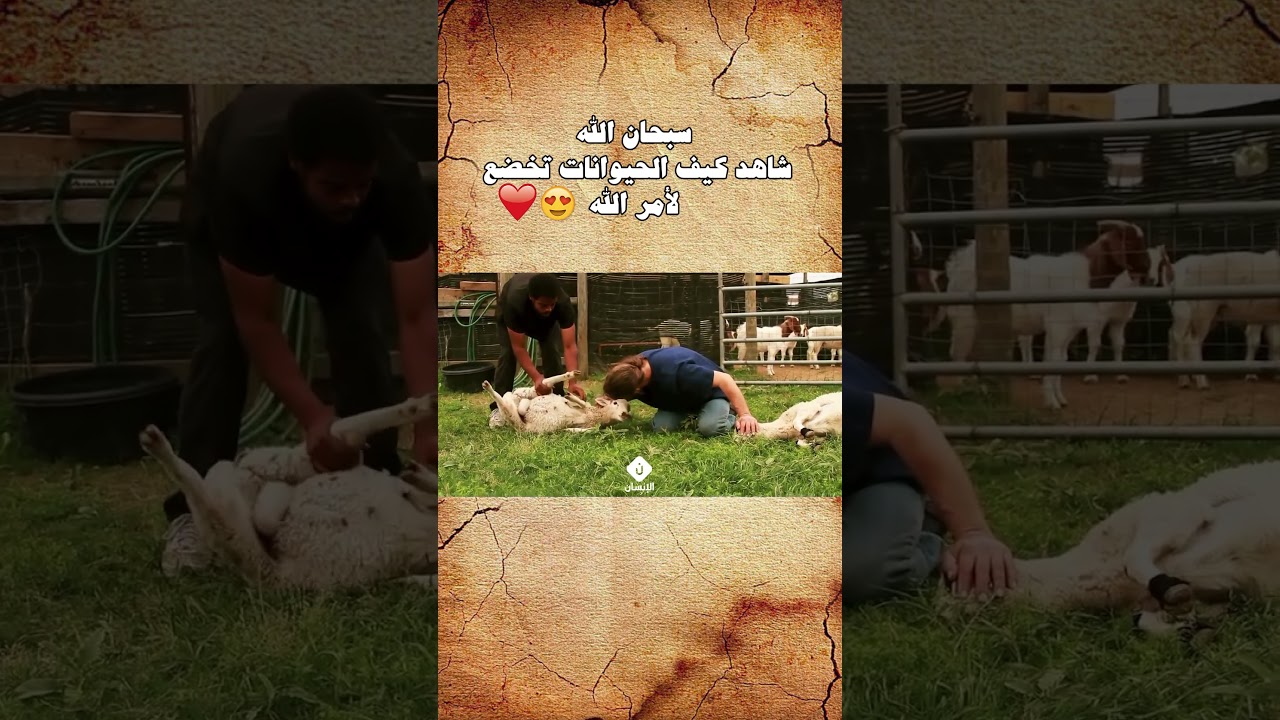 سبحان الله