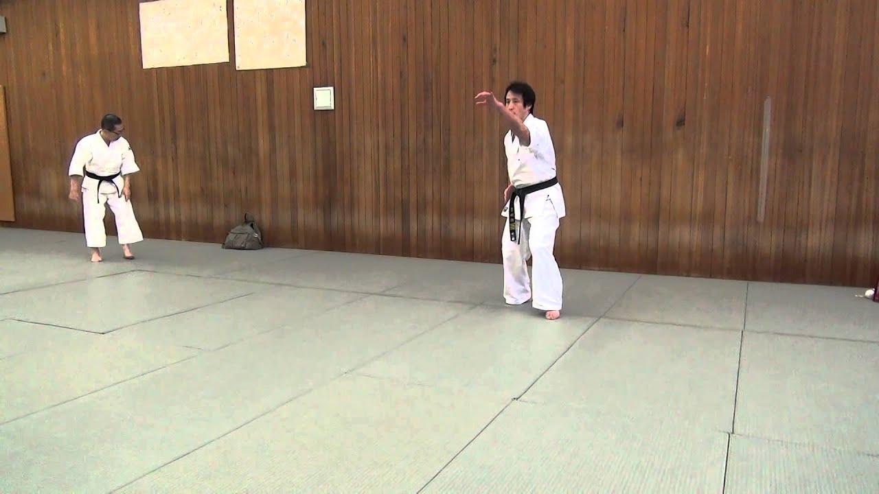 太氣拳成道会城浩崩拳 Youtube