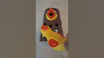 Woodpecker Catching Insects Puzzle Viral 8 #viralshort #amazingfacts #shortvideo #video #satisfying