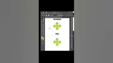 Difference between beginner and pro graphic designer #adobeillustrator #graphicdesign