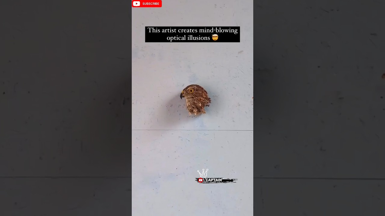 Tom Deininger is a Rhode Island-based artist celebrated for his transformative approach to art,