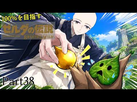 【ブレワイ100％クリア】#38　ウンコよこせよぉおおおおお！！！