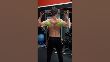 The 3 Greatest Rear Delt Exercises (NOT FLYS!)