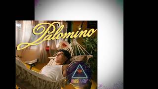 Lunay – Palomino
