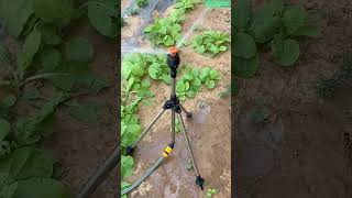Tripod Rotary Sprinkler For Even Garden Irrigation